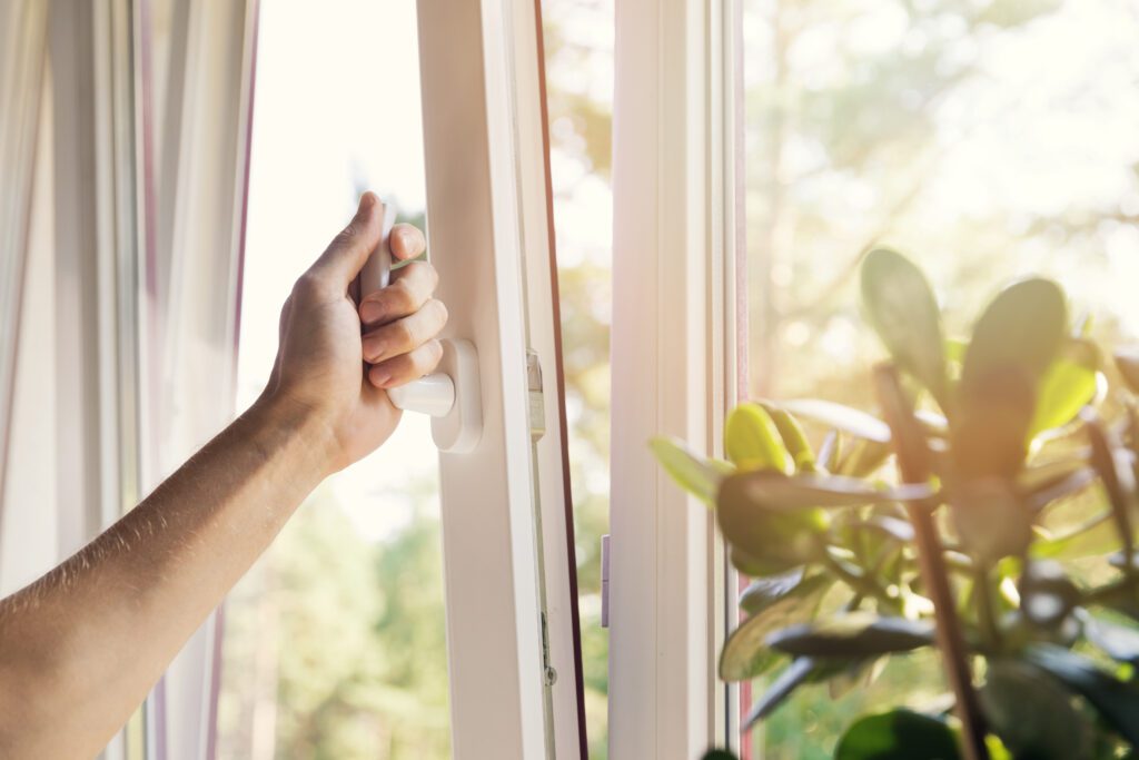 Window Repairs